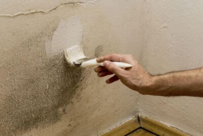 Consejos para prevenir y reparar humedades en casa