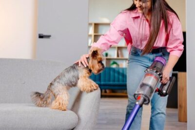 Técnicas de limpieza para hogares con mascotas